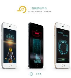 智能物流管理APP 赋能企业高效运输，定制开发引领未来